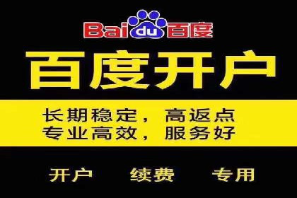 某企业通过百度推广竞价实现品牌快速崛起